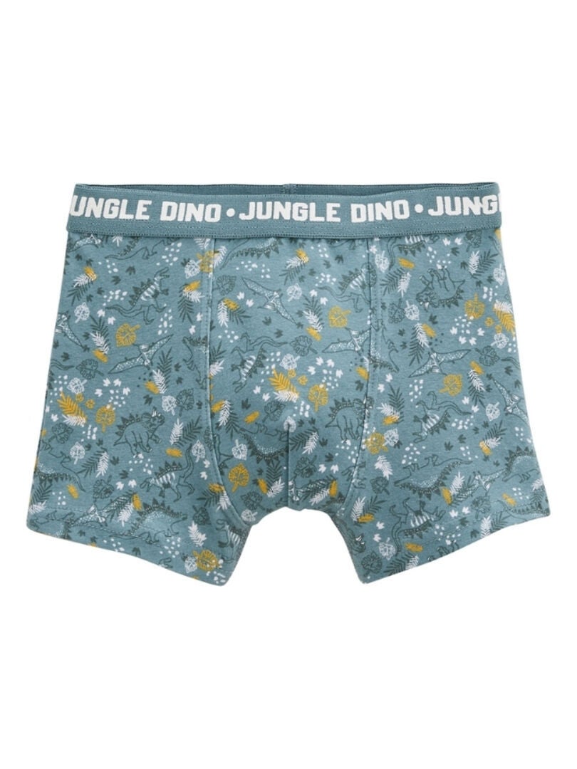 Lot De Boxers Gar On Dino Jungle Kaki Kiabi Nu