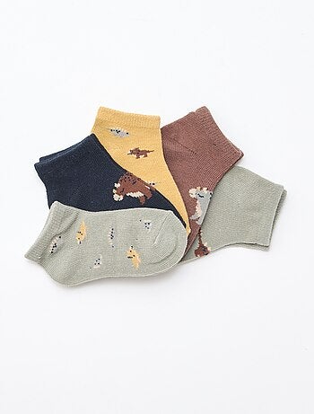 - Lot de 5 paires de chaussettes invisibles