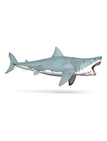 - Mégalodon