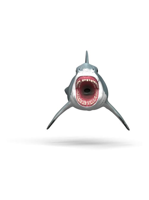 - Mégalodon - Kiabi