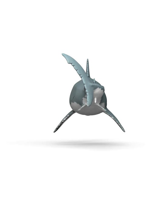 - Mégalodon - Kiabi