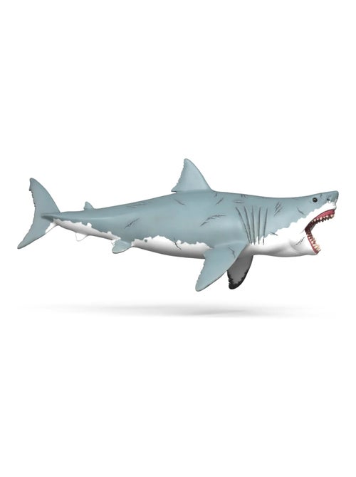 - Mégalodon - Kiabi