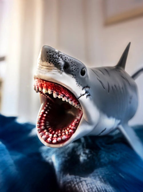 - Mégalodon - Kiabi