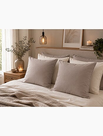 1 Taie d'oreiller coton uni Edens