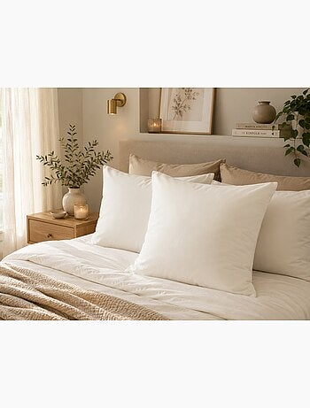 1 Taie d'oreiller coton uni Edens