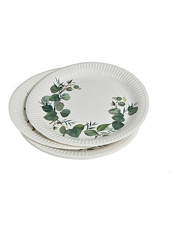 10 assiettes en carton 23 cm Branche d'eucalyptus