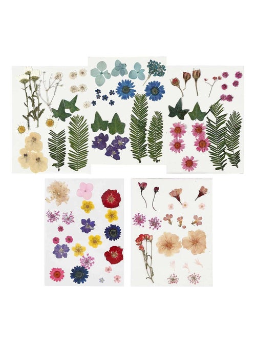 100 fleurs séchées et pressées multicolores - Creotime - Kiabi