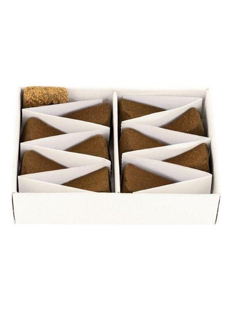 100 pyramides d'encens anti-moustiques 30 min - Les Encens du Monde Marron - Kiabi