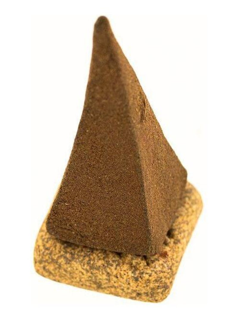 100 pyramides d'encens anti-moustiques 30 min - Les Encens du Monde Marron - Kiabi