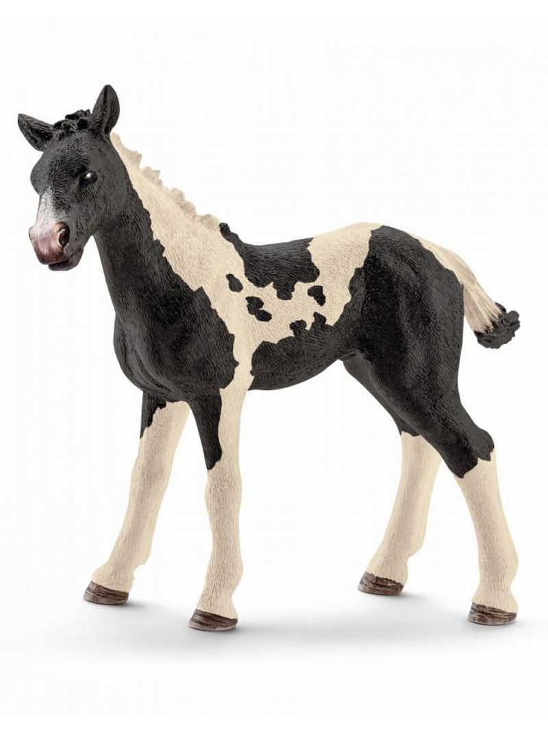 13803 Figurine animale Poulain pinto N/A - Kiabi