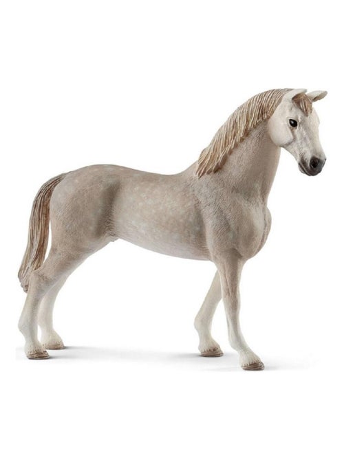 13859 Hongre Holstein - Kiabi