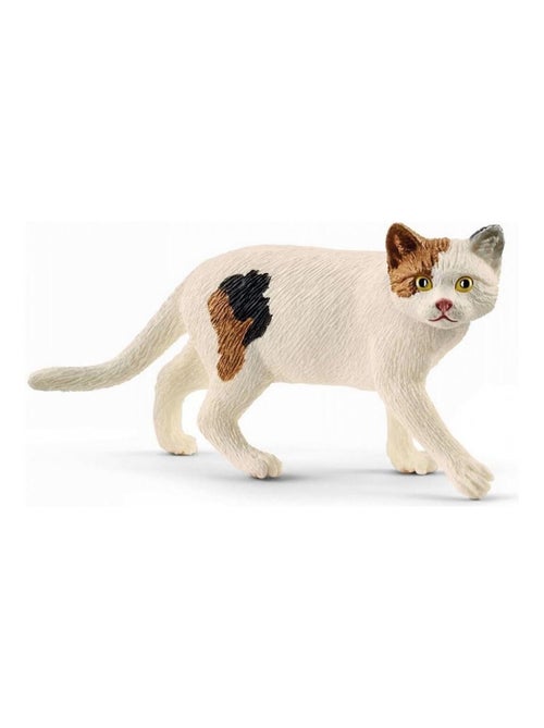 13894 Chat American Shorthair - Kiabi