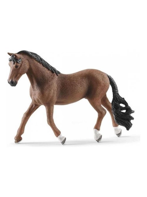 13909 Hongre Trakehner - Kiabi