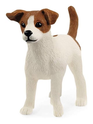 13916 Jack Russel Terrier