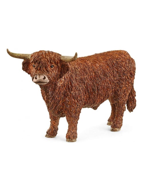13919 Taureau Highland - Kiabi