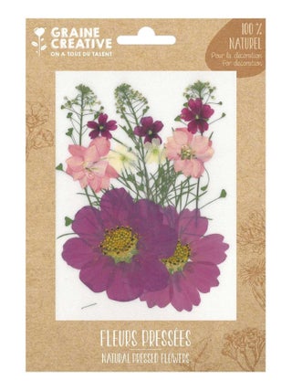 14 fleurs pressées - prairie parme - Graine Créative