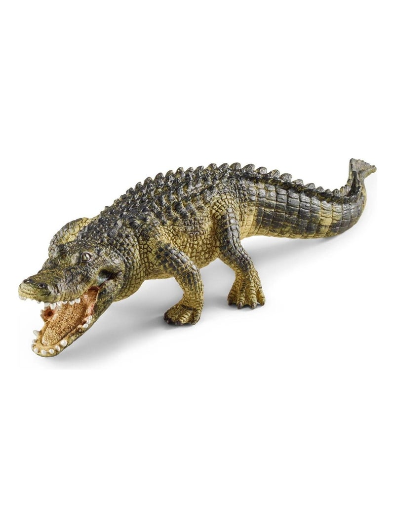 14727 Alligator N/A - Kiabi