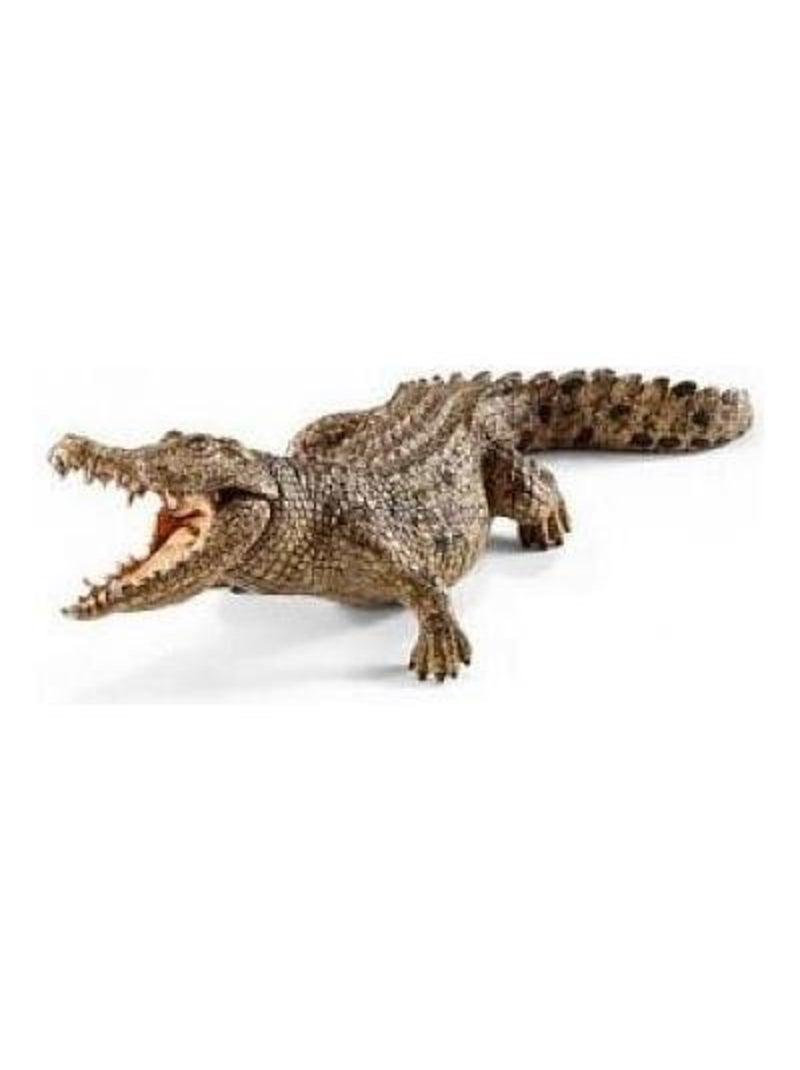 14736 Crocodile N/A - Kiabi
