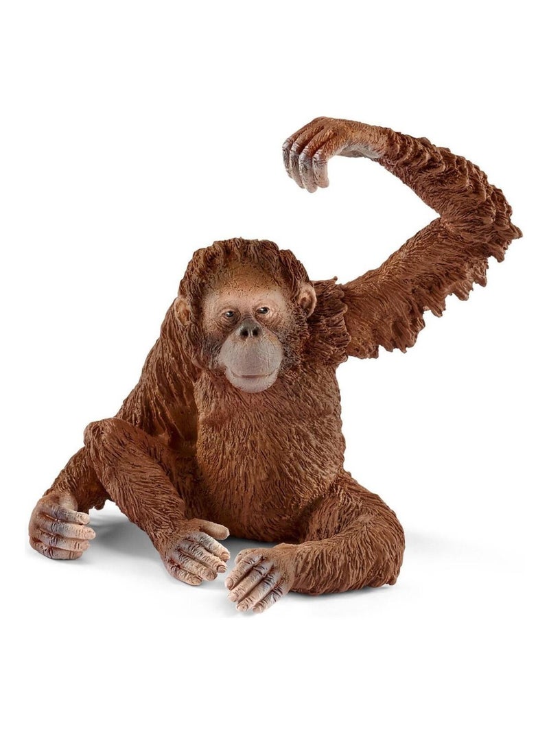 14775 Orang Outan Femelle N/A - Kiabi