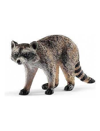 14828 Figurine Animale Raton Laveur