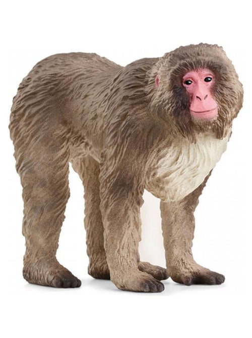 14871 Figurine Macaque japonais - 'Schleich' - Kiabi