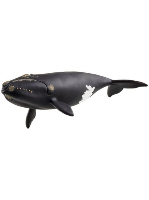 14878 baleine de l'atlantique - schleich - figurines/les animaux - beige - plastique - dès 3 ans - Kiabi