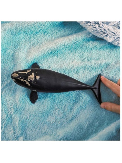 14878 baleine de l'atlantique - schleich - figurines/les animaux - beige - plastique - dès 3 ans - Kiabi 14878 baleine de l'atlantique - schleich - figurines/les animaux - beige - plastique - dès 3 ans - Kiabi
