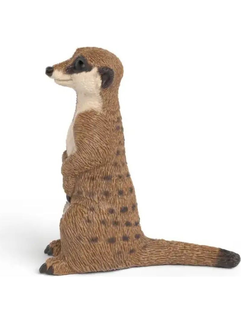 14935 wild life figurine suricate Marron - Kiabi