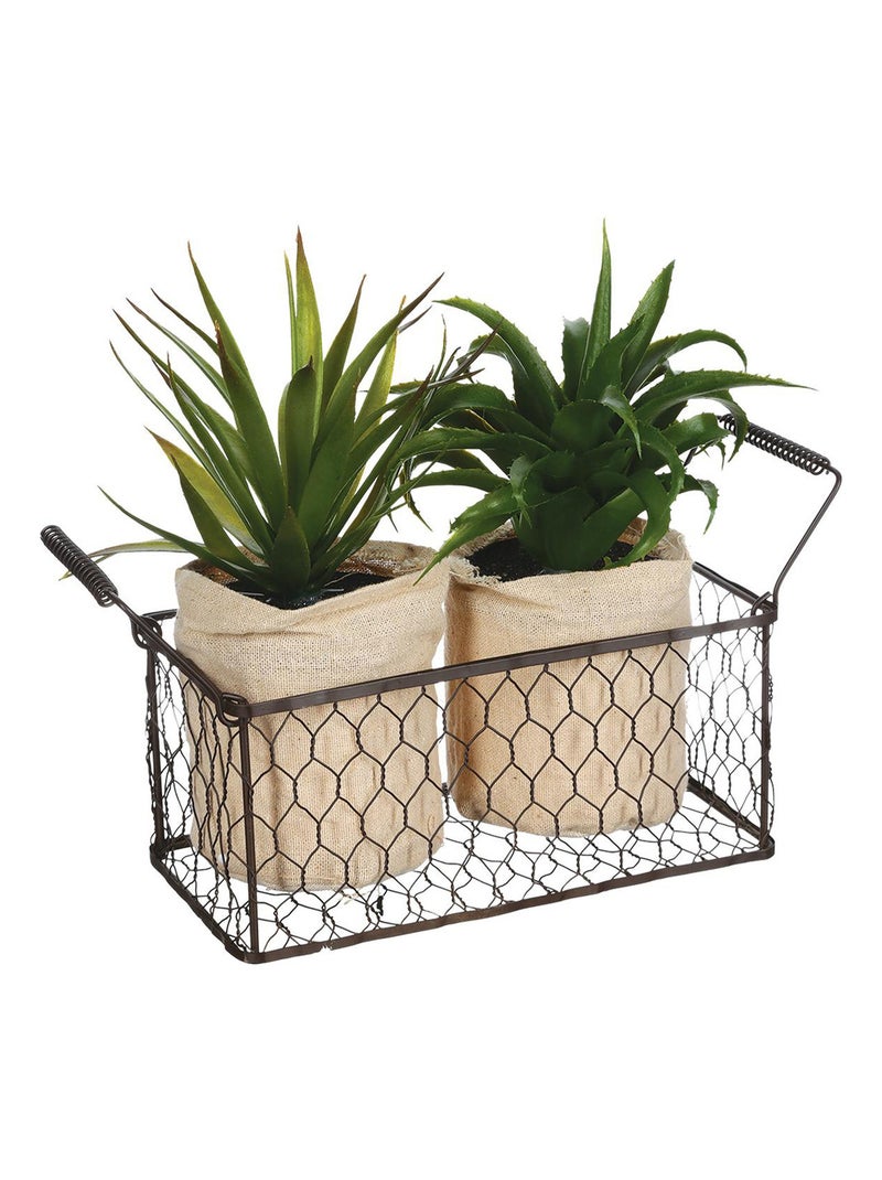 2 Aloe vera artificielles en panier Vert - Kiabi