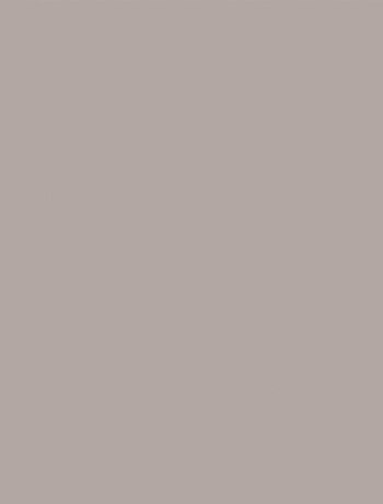 2 Feuilles de transfert Gris 30,5 x 30,5 cm - - Cricut