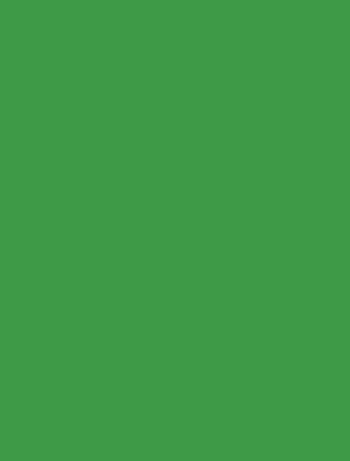 2 Feuilles de transfert Vert 30,5 x 30,5 cm - - Cricut