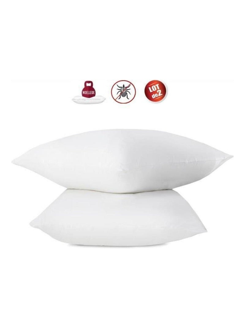 2 oreillers anti-acariens - 60 x 60 cm - Abeil N/A - Kiabi