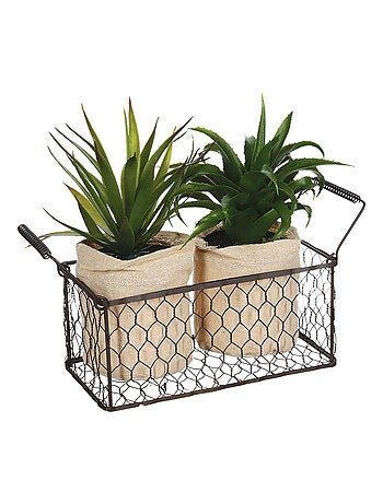 2 plantes aloe vera artificielles en panier métal
