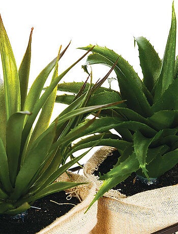 2 plantes aloe vera artificielles en panier métal