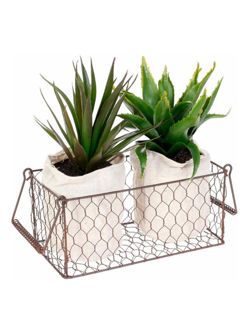 2 plantes aloe vera artificielles en panier métal - Kiabi 2 plantes aloe vera artificielles en panier métal - Kiabi