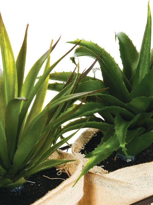 2 plantes aloe vera artificielles en panier métal - Kiabi 2 plantes aloe vera artificielles en panier métal - Kiabi