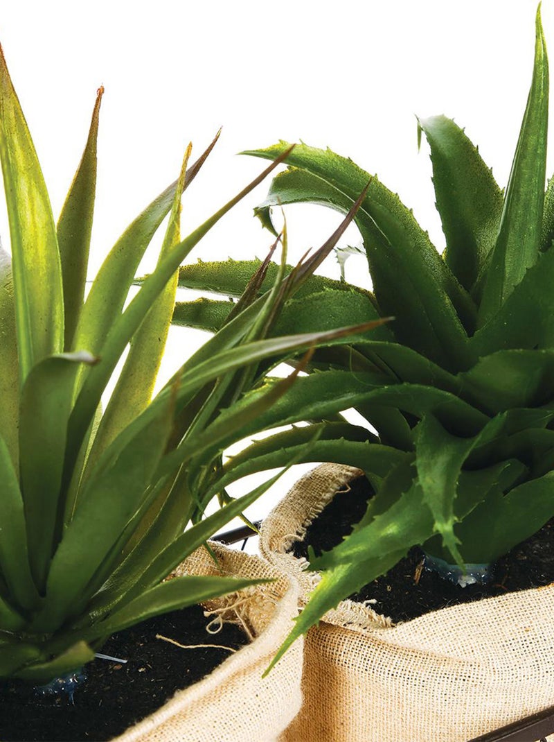 2 plantes aloe vera artificielles en panier métal Vert - Kiabi