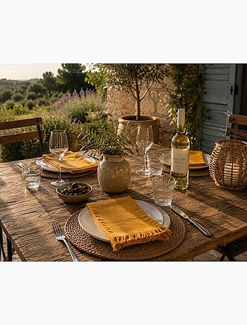 2 Serviettes de tables a franges en coton