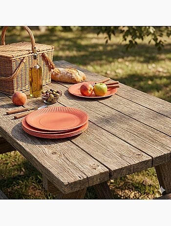 20 assiettes en carton 23 cm Unies terracotta