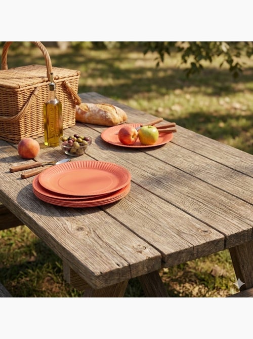 20 assiettes en carton 23 cm Unies terracotta - Kiabi