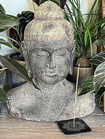 20 Bâtonnets d'encens aromatika senteur nag champa