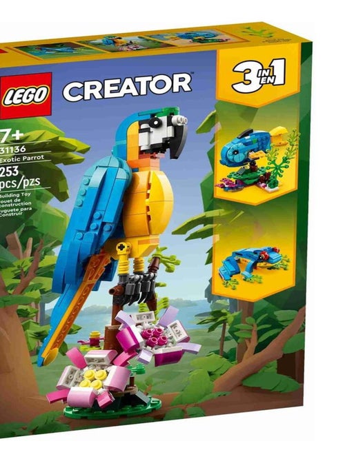 31136  Le perroquet exotique - Kiabi