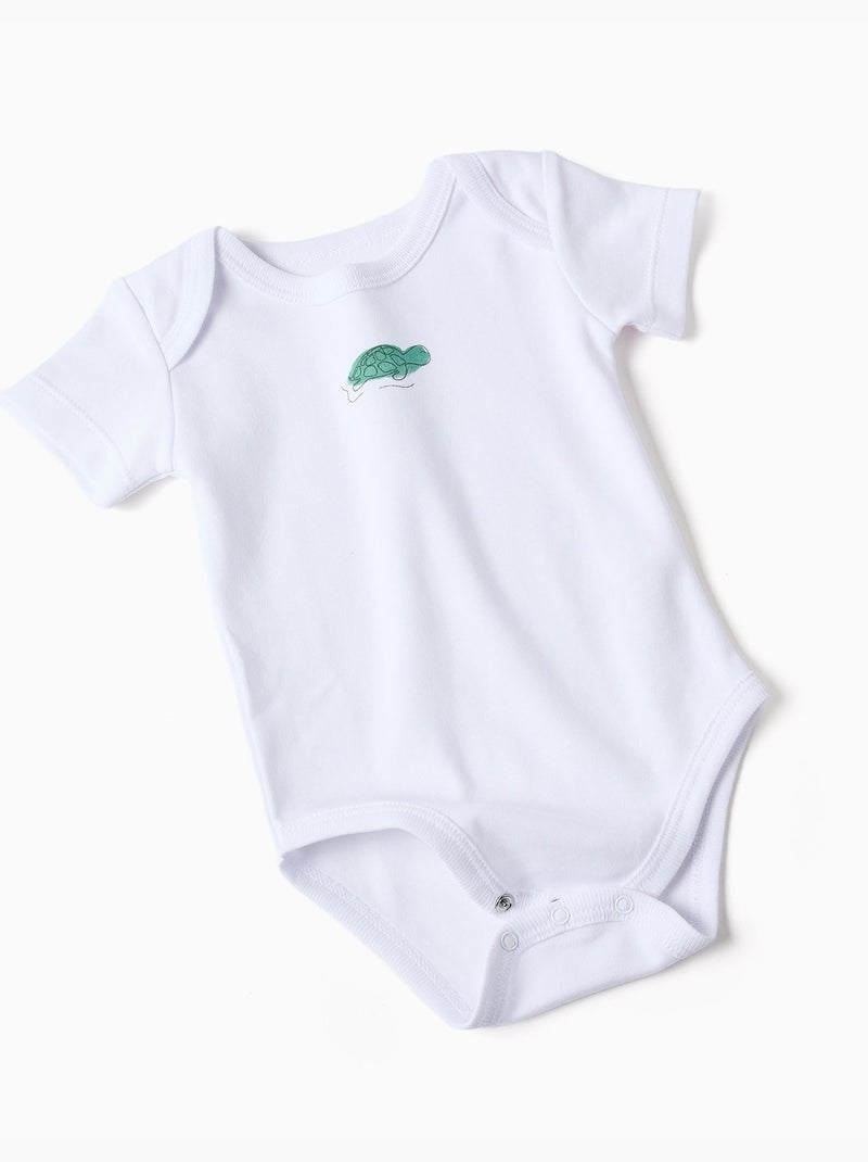 4 bodies en coton avec tortues imprimées Blanc - Kiabi