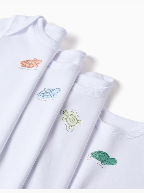 4 bodies en coton avec tortues imprimées - Kiabi