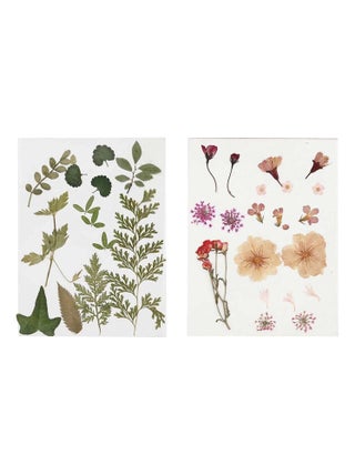 40 fleurs et feuilles séchées - rose & vert - Creotime