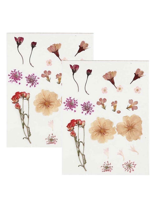 40 fleurs séchées et pressées - Rose clair - Creotime - Kiabi