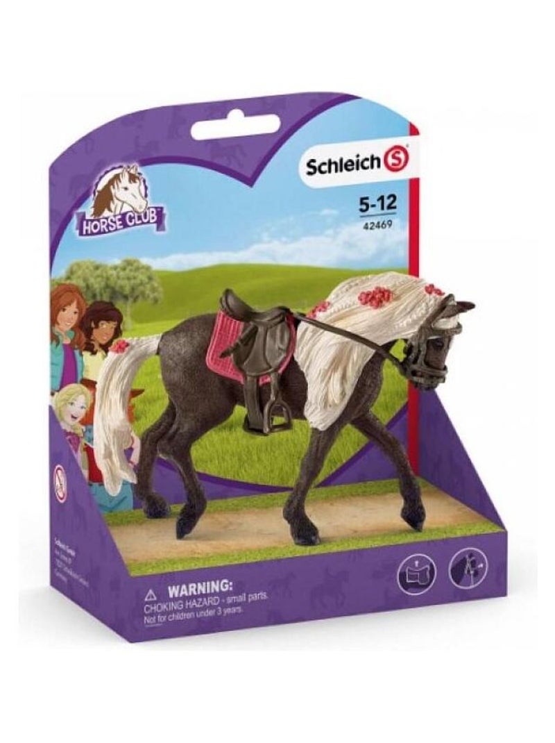 42469 Jument Rocky Mountain Horse Spectacle Equestre N/A - Kiabi