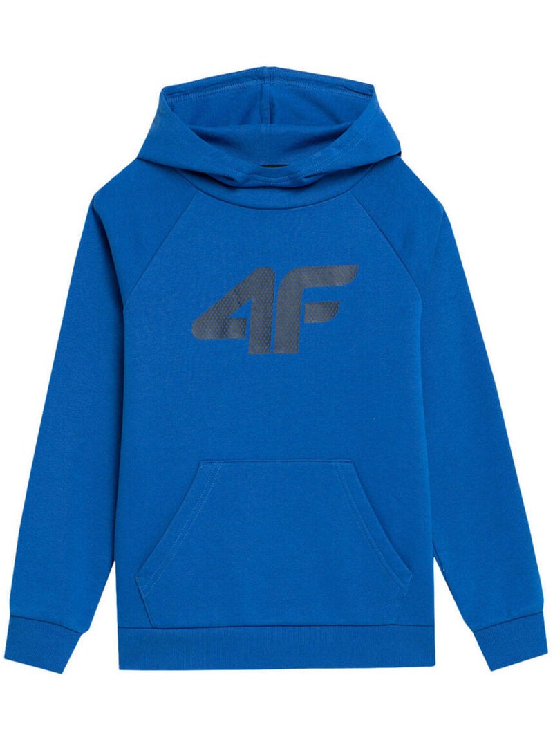 4F - Sweat à capuche 4FJSS23TSWSM220 Bleu - Kiabi