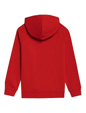 4F - Sweat à capuche 4FJSS23TSWSM220