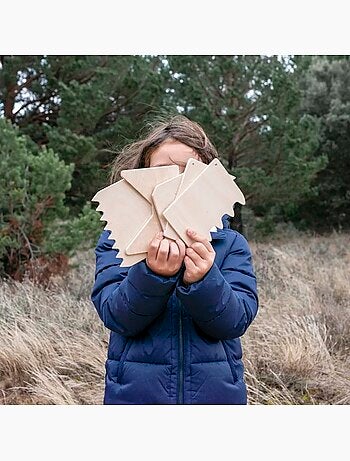 5 peignes à sable en bois